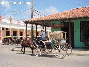 Coachman in the City of Ciego de Avila