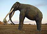Elefante de piedra en el Valle de la Prehistoria