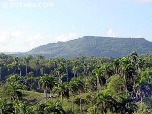 Chorro de Maita. Landscape