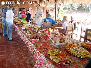 Cayo Saetía. Smorgasbord