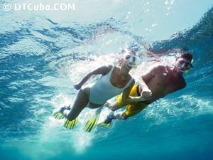 Cozumel. Snorkeling