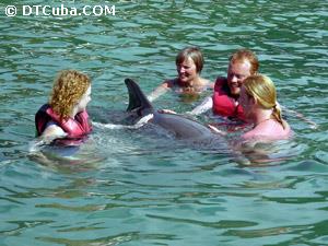 Naranjo Bay. Holguín. Swimming with dolphins