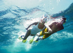 Cozumel. Snorkeling